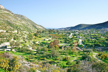 Similar image 244769