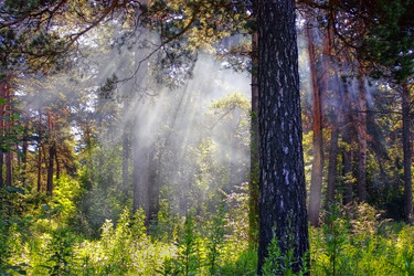 Similar image 244815