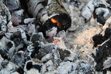 Similar image 244824