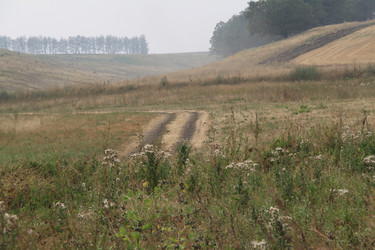 Similar image 244825