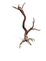 Similar image 244826