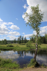 Similar image 244832