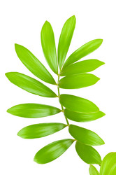 Similar image 244895