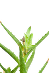 Similar image 244898