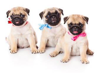 Similar image 244909