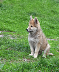 Similar image 244940