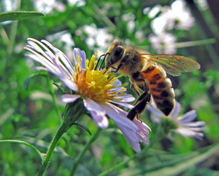 Similar image 244943