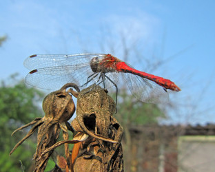 Similar image 244957