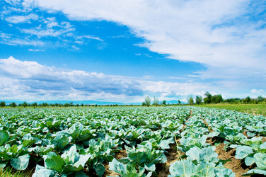 Similar image 244964