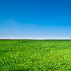 Similar image 244971