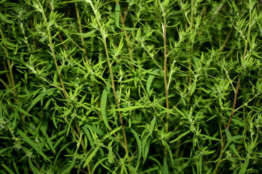 Similar image 244972