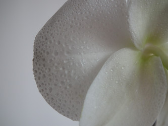 Similar image 244993