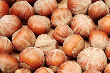 Similar image 245000