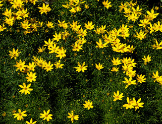 Similar image 245006