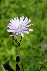 Similar image 245007