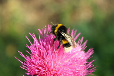 Similar image 245008