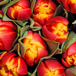 Similar image 245010