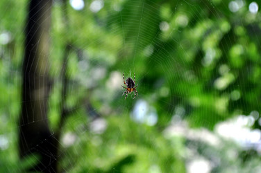 Similar image 245077