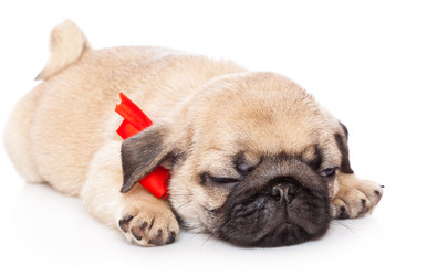 Similar image 245116