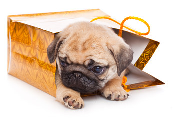 Similar image 245117