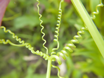 Similar image 245125