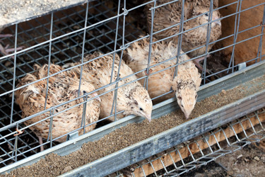 Similar image 245143