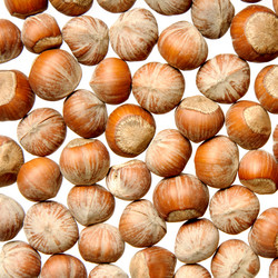 Similar image 245146