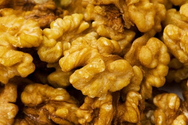 Similar image 245148