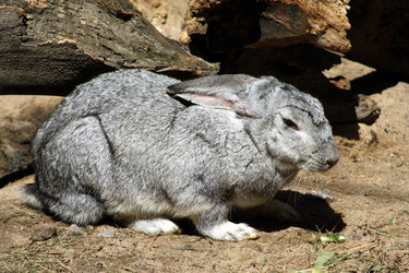 Similar image 245178