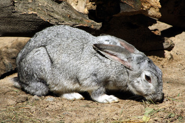 Similar image 245180