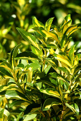 Similar image 245192