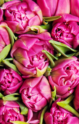 Similar image 245199