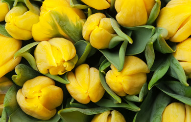 Similar image 245200