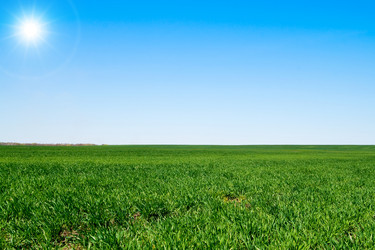 Similar image 245210