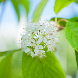 Similar image 245220