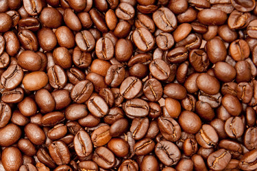 Similar image 245259