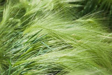 Similar image 245289