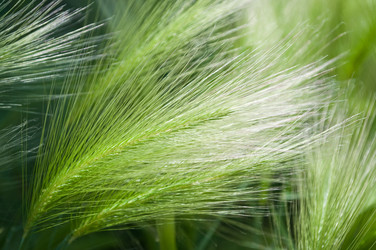 Similar image 245293