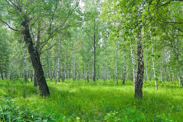 Similar image 245297