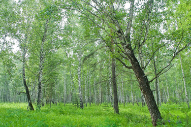 Similar image 245299