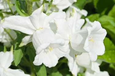 Similar image 245315