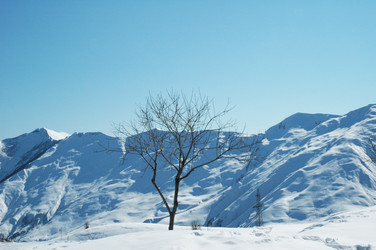 Similar image 245402