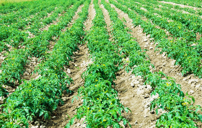 Similar image 245480