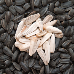 Similar image 245487