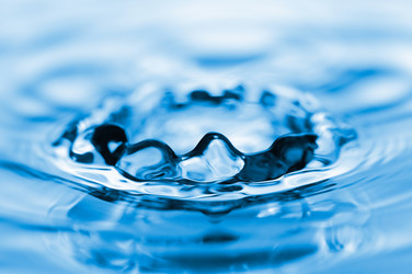 Similar image 245511