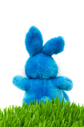 Similar image 245531