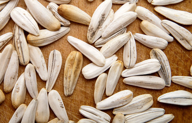 Similar image 245548