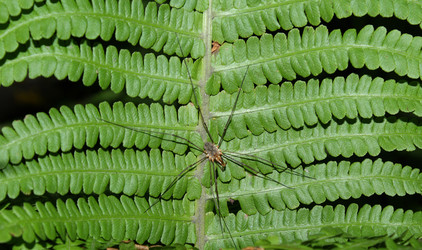 Similar image 245559