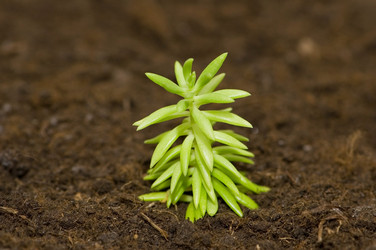 Similar image 245575