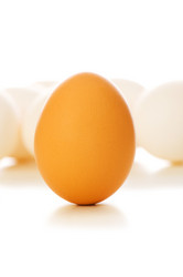 Similar image 245593